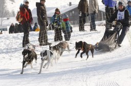 Lenk 2012 SM